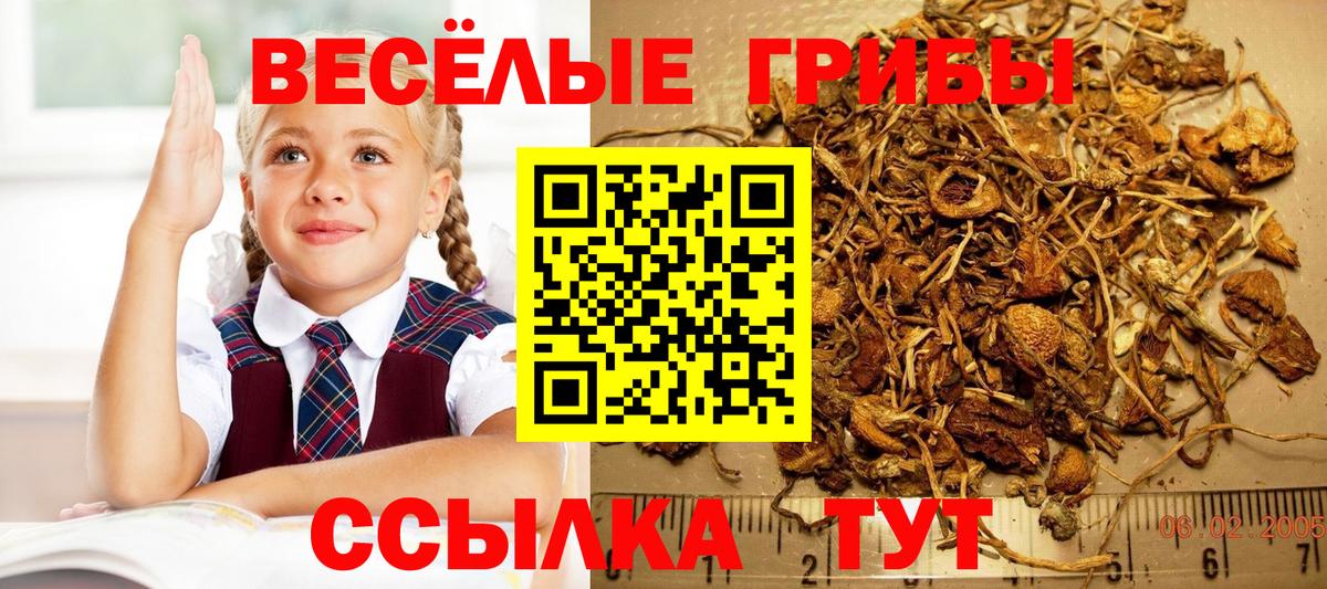 Галлюциногенные грибы Magic Shrooms Кандалакша