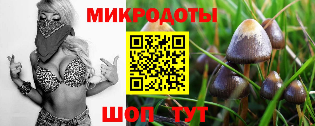 Галлюциногенные грибы прущие грибы  сколько стоит  Вход с VPN  Кандалакша  Псилоцибиновые грибы Cubensis 